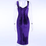 Velvet Sleeveless Dress