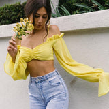 Chiffon Cropped Top