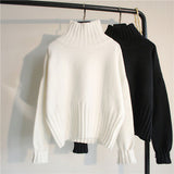 Loose Turtleneck Sweater