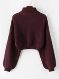 Roll Neck Cropped Sweater