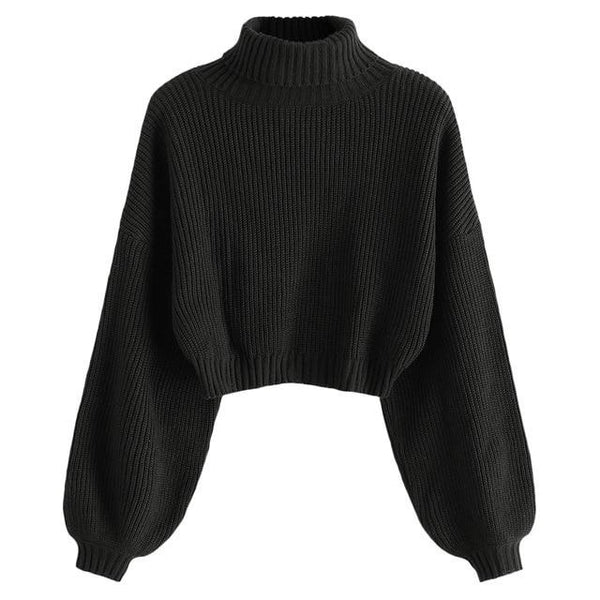 Roll Neck Cropped Sweater