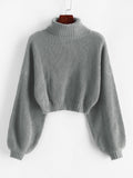 Roll Neck Cropped Sweater