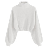 Roll Neck Cropped Sweater