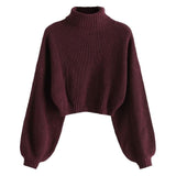 Roll Neck Cropped Sweater