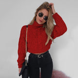 Twisted Turtleneck Sweater