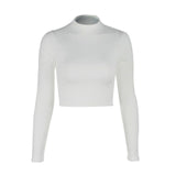 Cropped Turtleneck Sweater