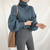 Turtleneck Loose Sweater