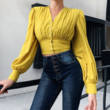 Deep V-Neck Blouse