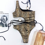 Snake Print Swimsuit