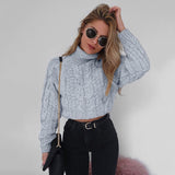 Twisted Turtleneck Sweater